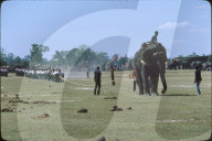 Elefantenspiele in Thailand 1979, Seilziehen