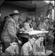 Männer wetten bei Kuhkämpfen im Wallis, 1954