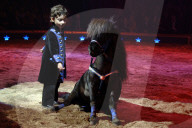 Circus Knie, Ivan Frédéric Knie; 2005