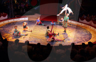 Circus Monti, 2004