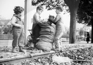 Knaben sammeln dürres Laub, circa 1944