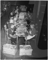 Frauen rüsten Obst für Dörrobst, 1946