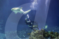 FEATURE - Inventur im Tropen-Aquarium vom Zoo Hagenbeck