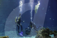 FEATURE - Inventur im Tropen-Aquarium vom Zoo Hagenbeck