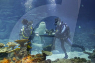 FEATURE - Inventur im Tropen-Aquarium vom Zoo Hagenbeck