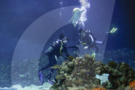 FEATURE - Inventur im Tropen-Aquarium vom Zoo Hagenbeck