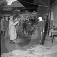 Bekämpfung der Maul- und Klauenseuche, 1953