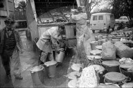 Weihnachtsbaum bei Kehricht, Januar 1970