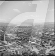 Zürich 1953