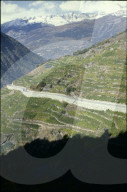 Rebberge in Miège, Wallis 1980
