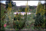 rdb00134924