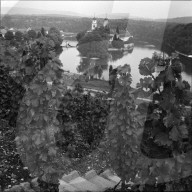 Klosterinsel Rheinau mit Rebberg, 1959
