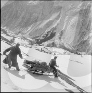Das 1000. Bett der Bettenaktion des Roten Kreuzes, 1956