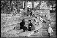 "Frühling" Ende Januar 1971
