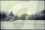 Gewächshäuser im Botanischen Garten Zürich 1987