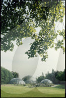 Gewächshäuser im Botanischen Garten Zürich 1986