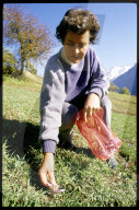 Frau bei der Safran-Ernte, 1986