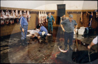 Schlachthof der Stierkampfarena, Spanien 1987