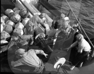 Heringfischerei in der Nordsee: Netz Einholen 1954