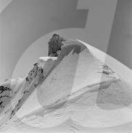 rdb00139732