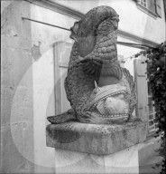 rdb00140248