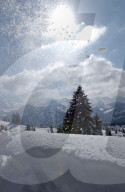 Winterlandschaft