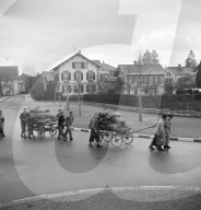 Buben sammeln Tannenzapfen zum Heizen, 1944