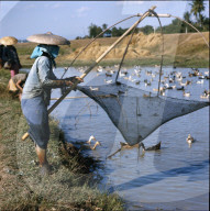 Fischer am Ufer des Mekongs, Thailand ca. 1960
