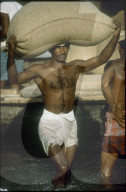 Indischer Mann beim Arbeiten, Indien 1981