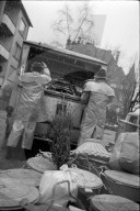 Weihnachtsbaum bei Kehricht, Januar 1970