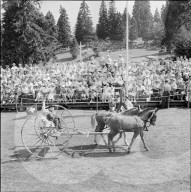 55. Marché-Concours Saignelégier, Umzug, 1958