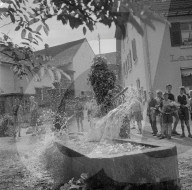 Pfingstbrauch "Pfeisthutte im Fricktal, 1955