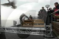 Tauben an Valentinstag