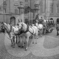 Sauser-Propagandafahrt durch Zürich, 1959