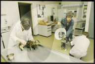 Tierspital Zürich: Behandlung von Katze und Hund 1983 
