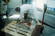Grenztierarzt beim Überprüfen von Tiefkühlfleisch