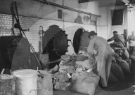 Maikäfer werden in der Rösterei zu Futtermehl verarbeitet, 1942