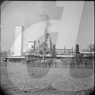 Schweizerische Sprengstoffabrik Dottikon 1956