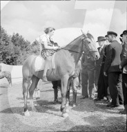 38. Marché-Concours Saignelégier, 1941