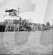 37. Marché-Concours Saignelégier, Einspänner, 1940