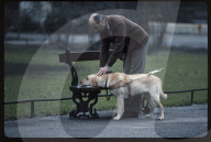 Ausbildung zum Blindenhund 1988