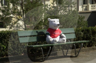 Bombenverdacht: Roboter zerfetzt Teddybär, Lausanne