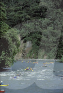 Abenteuerferien in Costa Rica; Riverrafting und Kajakfahren 1991