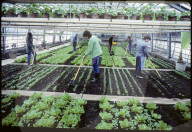Bäuerin-Lehrlinge an der landwirtschaftlichen Schule Schwand, 1984
