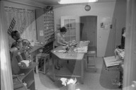 Ringier Bilderdienst, 1969