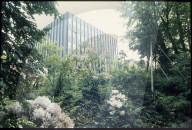 Institut für Systematische Botanik Zürich 1986