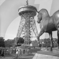 rdb00160421