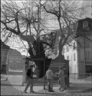 rdb00160621