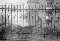 WK 2: Anbauschlacht; Mann beim Verbrennen von gefälltem Baum, Bäumen, Zürich 1941