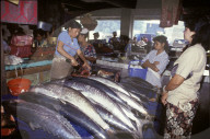 Fischmarkt, Indonesien, 1993